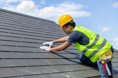 Professional Roofing Work